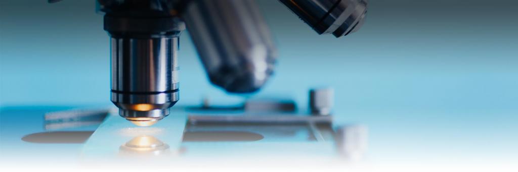 examen de la limitation de la production de documents