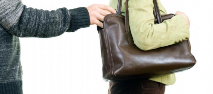 crime signs composition species