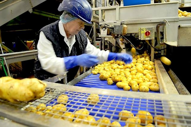 chips manufacturing equipment