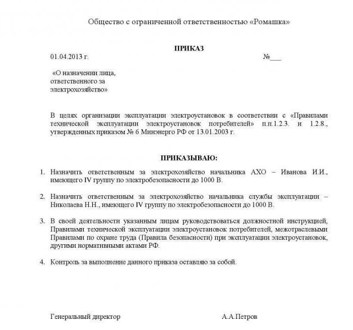 order of appointment as responsible for electrical safety