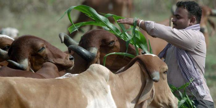établissement agricole