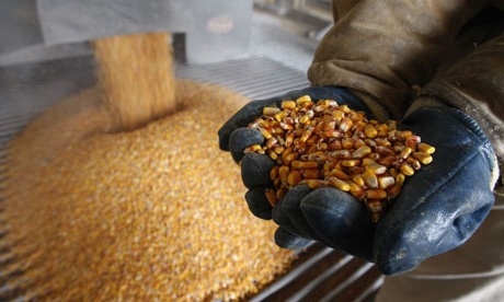 technologie de production d'alcool