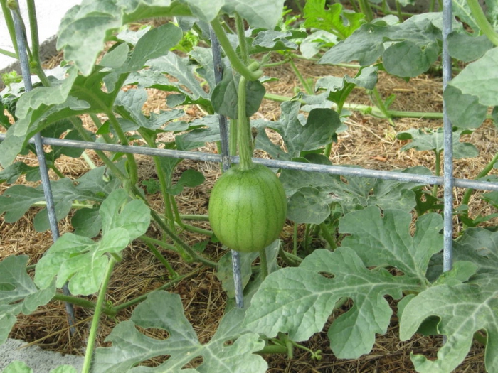 Comment ouvrir une entreprise