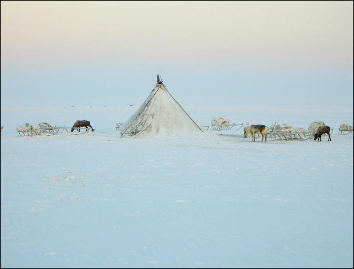1 zone climatique de la Russie