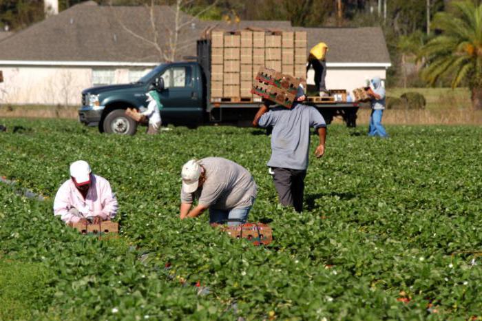 travailleurs invités à Moscou