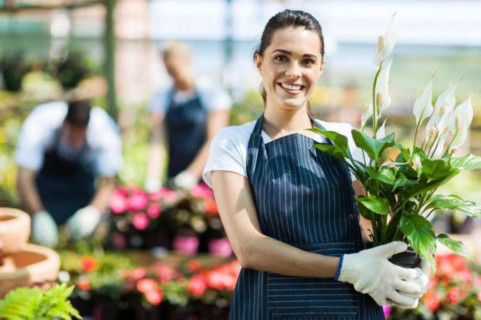 registre unifié des petites et moyennes entreprises