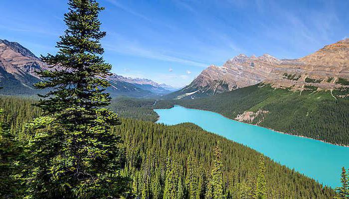 La politique fiscale du Canada