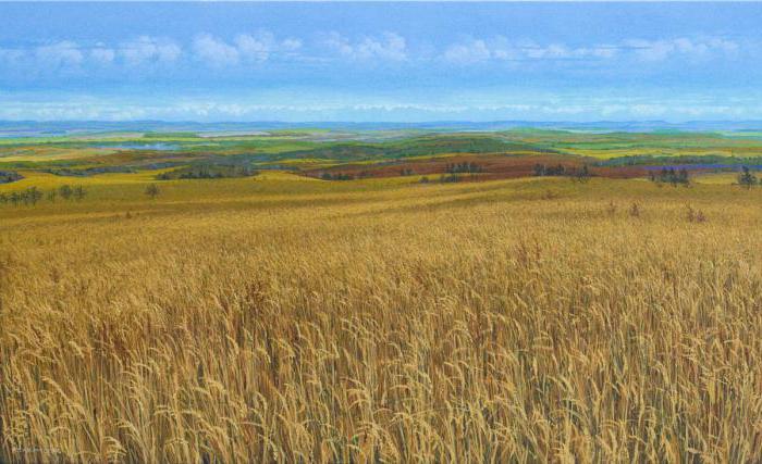 bases du système budgétaire