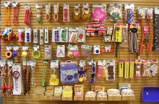 How to open a pet store: instructions