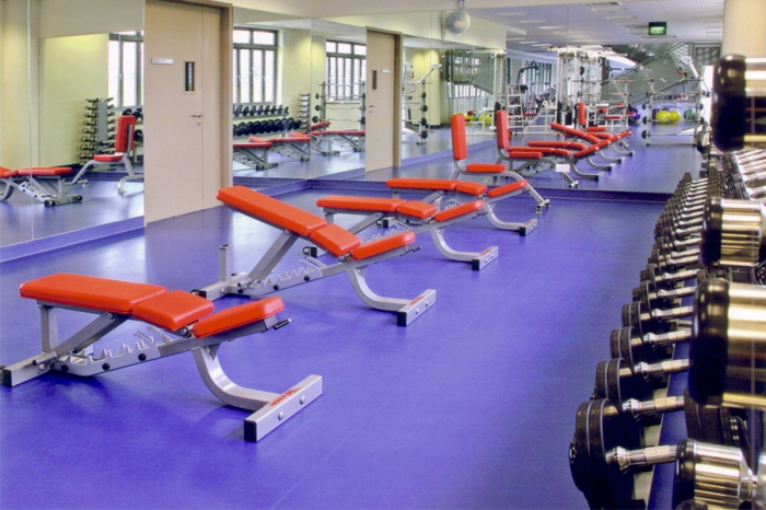 Plan d'affaires des arts martiaux