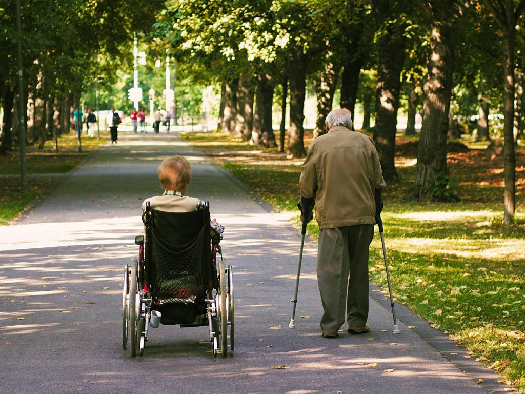 Types of monthly social benefits