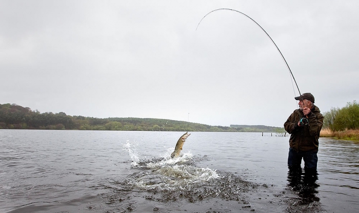 choisir une filature pour attraper le brochet choisir une filature pour attraper le brochet