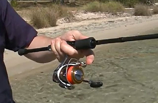 how to choose a spinning reel for spinning