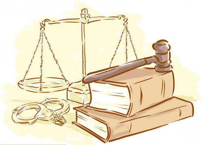 comment devenir député local