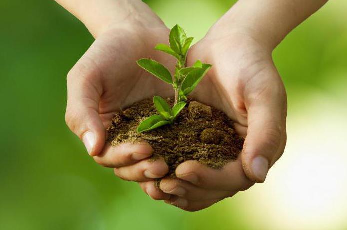  dégradation humaine