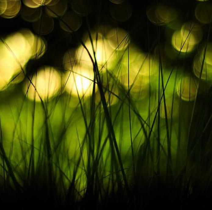 dégradation de la société