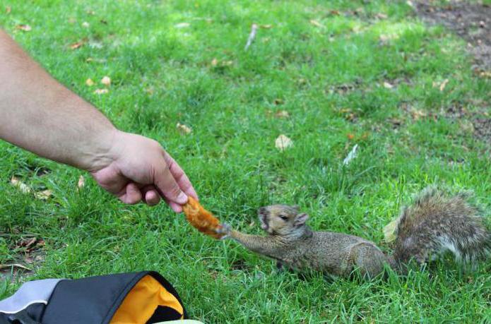 causes de dégradation