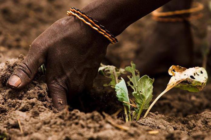 processus de dégradation