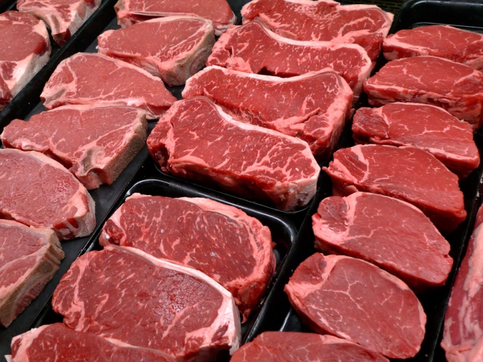 livestock development prospects