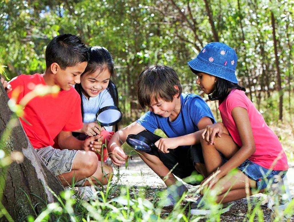 organisateur des enseignants aux responsabilités de l'école