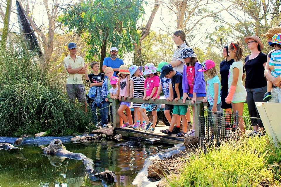responsabilités fonctionnelles de l'enseignant de l'organisateur à l'école