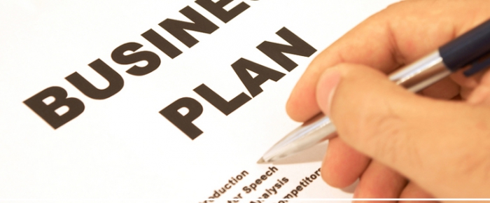 plan d'affaires du producteur