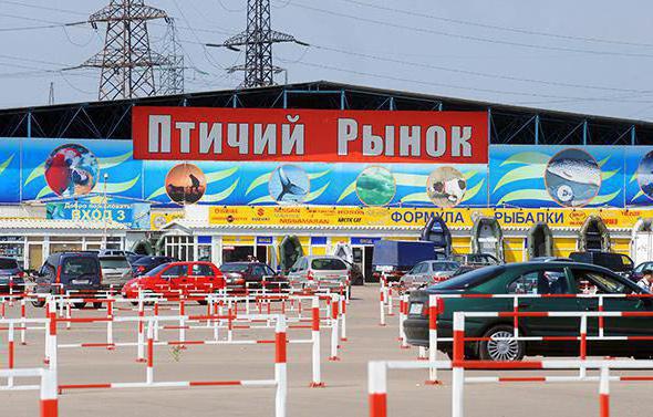 Maraîcher Moscou comment s'y rendre