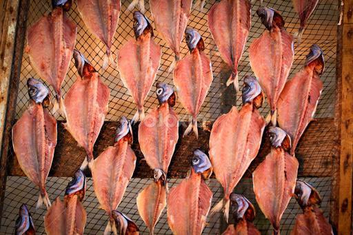 technologie du poisson fumé à chaud