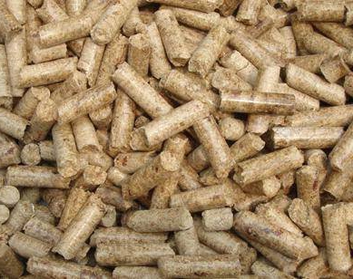 technologie des biocarburants solides