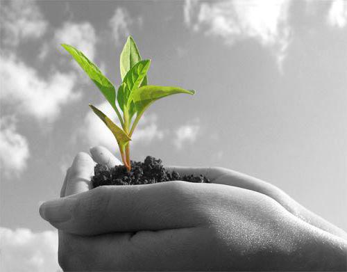 quoi de plus rentable LPH ou fermes paysannes