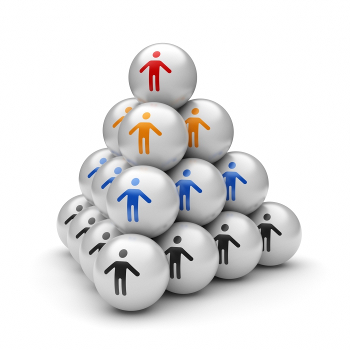 organization management