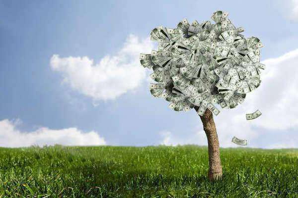 types de valeur d'actifs incorporels