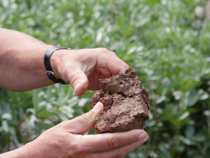 extraction de sable et d'argile