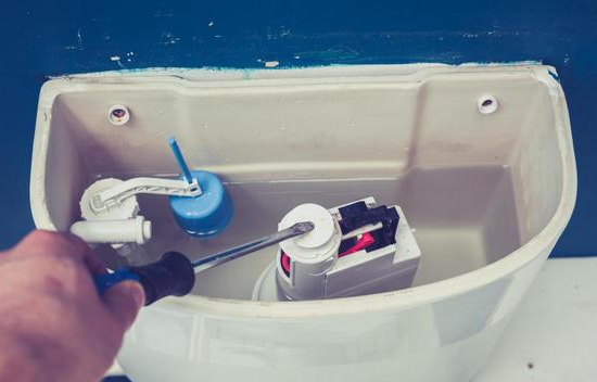 how to choose a toilet reviews