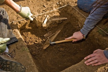 examination of material evidence