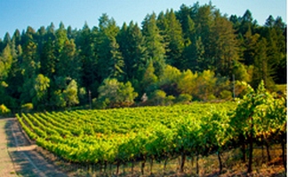 délimitation de la propriété de l'Etat