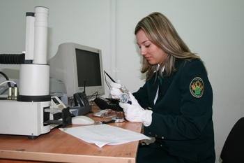 customs examination sample