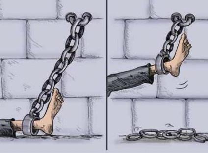 imperative legal regulation