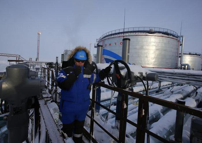 license payment procedure