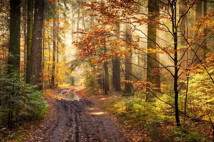 servitude publique sur le terrain