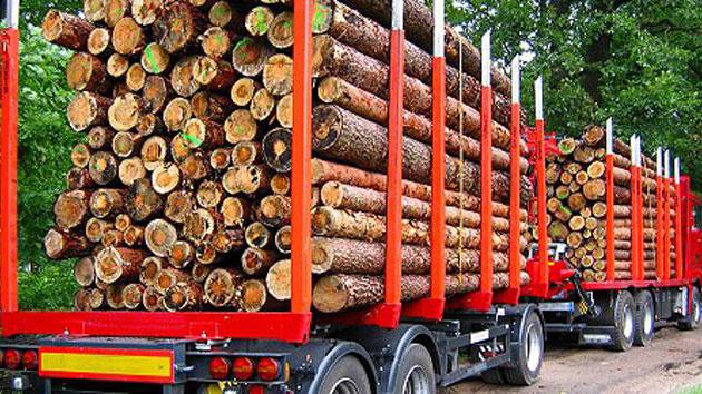 court practice under Article 260 of the Russian Federation