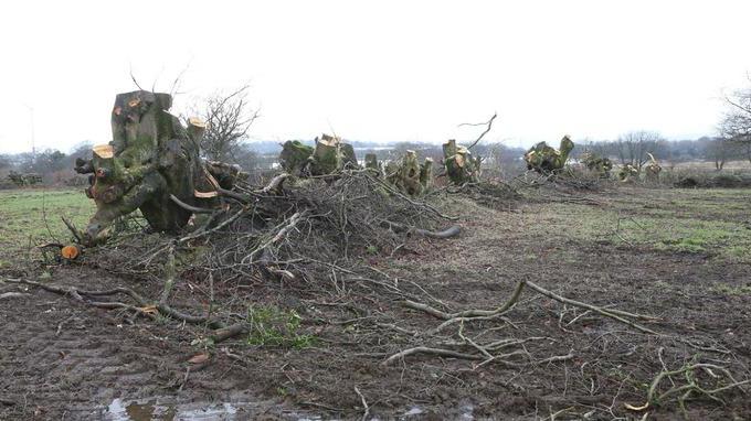 Article 260 of the Russian Federation in the new edition