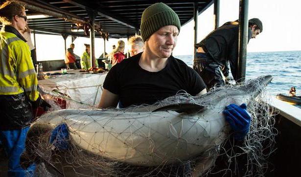 prélèvement illégal de ressources biologiques aquatiques