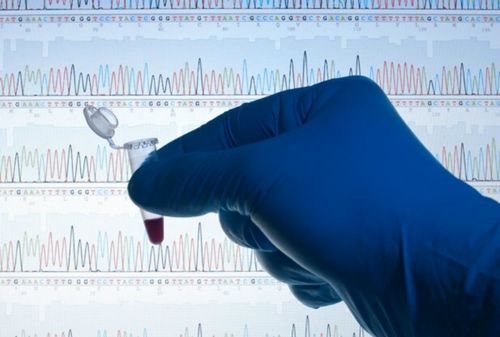 types de risque raisonnable en droit pénal