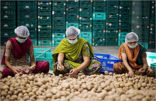 comment gagner de l'argent en été dans le village