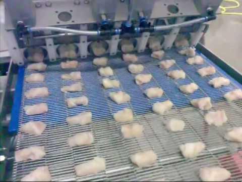 Equipement pour la production de poisson