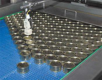 Technologie du poisson