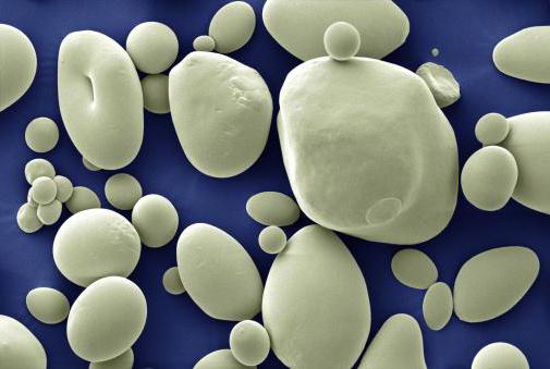 production d'amidon de maïs