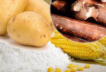 équipement de production d'amidon