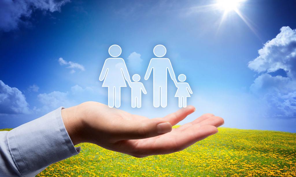 Services d'assurance